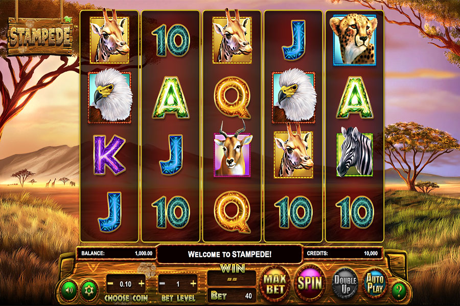 slot stampede stampede